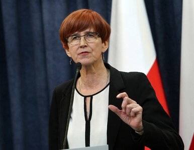 Miniatura: Rafalska: PiS zapędza kobiety do kuchni?...