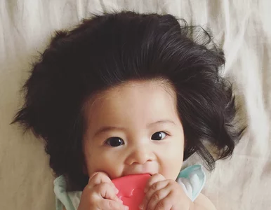 Miniatura: Ma 7 miesięcy i imponującą czuprynę....