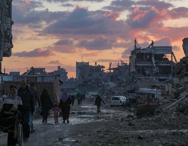 Miniatura: Polski trotyl w bombach, które spadały na...
