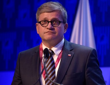 Miniatura: Co z dostępem do broni? BBN: Uzasadniona...