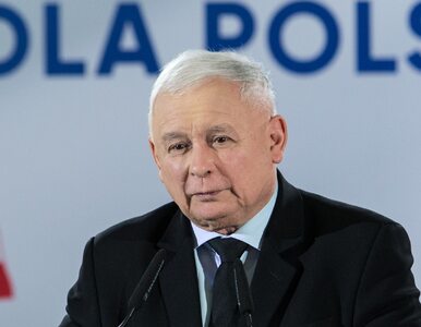 Miniatura: Kaczyński mówił o „piętnowaniu elit”,...