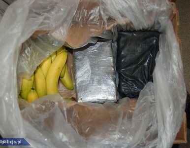 Miniatura: Narkotyki ukryte w transporcie bananów...