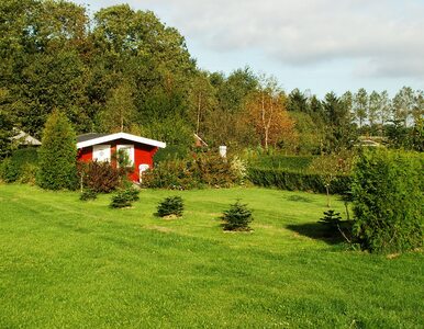 Miniatura: Świetna wiadomość dla działkowców. 50 mln...