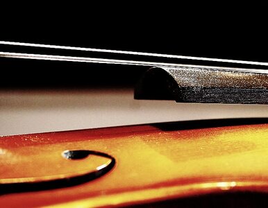 Miniatura: Skradziony Stradivarius wart milion...