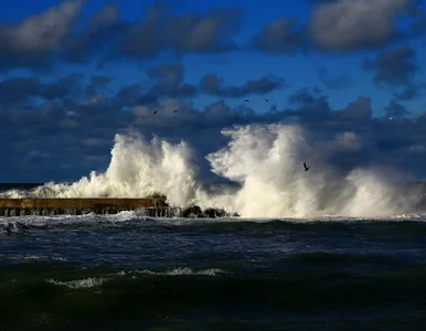 Miniatura: Quiz geograficzny. Wynik 8/10 godny mistrza