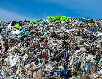 Miniatura: Koniec marnotrawstwa w UE? Producenci...