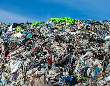 Miniatura: Koniec marnotrawstwa w UE? Producenci...