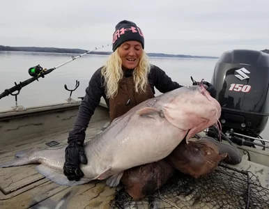 Miniatura: Złowiła gigantycznego, 40-kilogramowego...