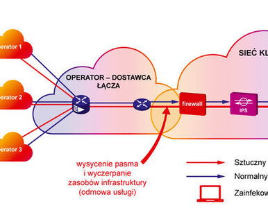 Miniatura: DDoS rośnie w siłę  jak możemy się bronić?