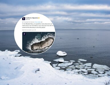 Miniatura: Odkryto nieznaną wyspę. Trzeba będzie...