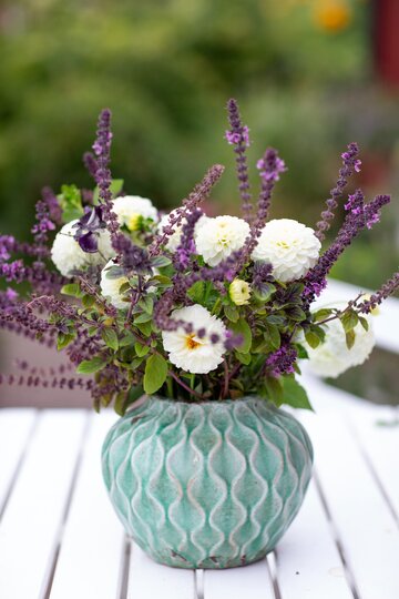 Bazylia kwiatowa Kwitnąca bazylia