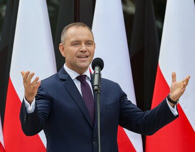 Miniatura: Wrze na linii Kijów-Warszawa. Polacy...