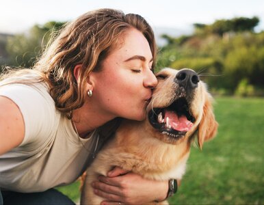 Miniatura: Ten nawyk wielu opiekunów psów budzi...
