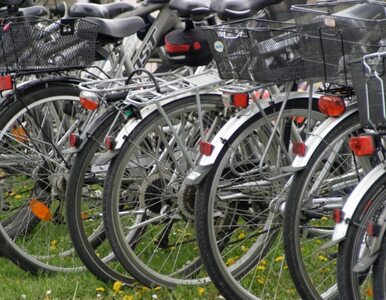 Miniatura: Policja rozbiła gang złodziei rowerów....