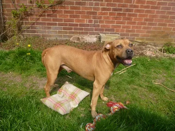 Po operacji stan Bensona szybko się poprawił 