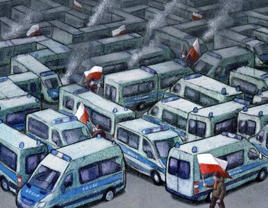 Miniatura: Niepodległość show, apel ambasadora...