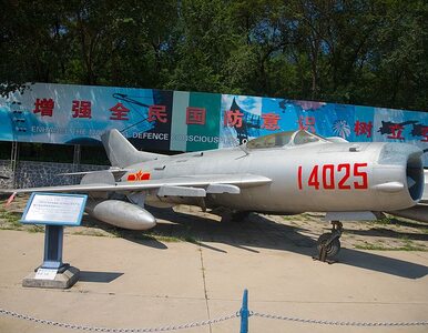 Miniatura: Koreańskie myśliwce spadają z nieba