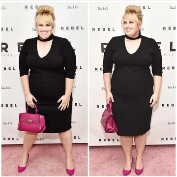 Rebel Wilson 