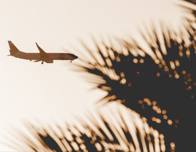 Miniatura: Linia lotnicza oskarżona o współpracę z...