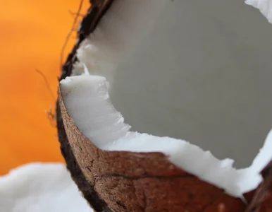 Miniatura: Malediwy. Policja aresztowała... kokos