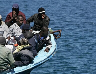 Miniatura: Włochy: 1240 imigrantów w jeden dzień