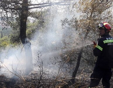 Miniatura: Ogień trawi Sardynię. Trwa ewakuacja