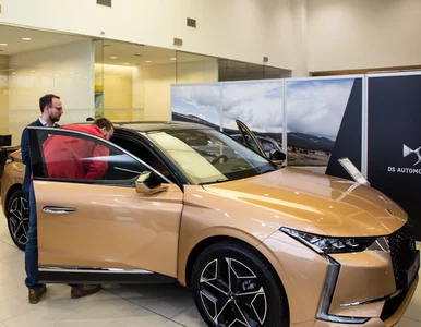 Miniatura: Dealerski gigant z dziewiętnastą marką w...