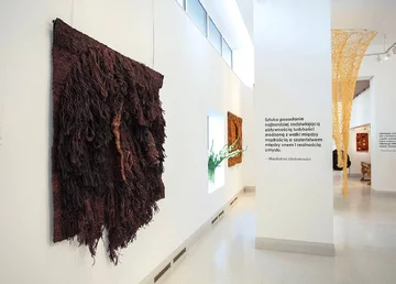 Prace Magdaleny Abakanowicz i Barbary Levittoux-Świderskiej pokazują, jak polska tkanina artystyczna stała się jednym z najważniejszych zjawisk światowej sztuki XX wieku 