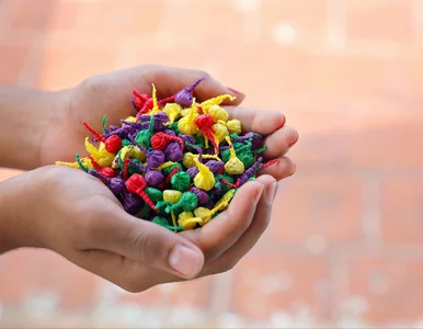 Miniatura: 11-latek połknął „diabełka”. Trafił do...