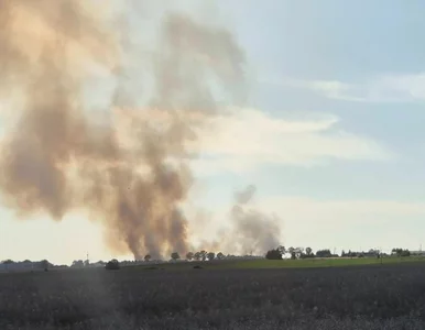 Miniatura: Kłęby dymu pod Poznaniem. Strażacy walczą...