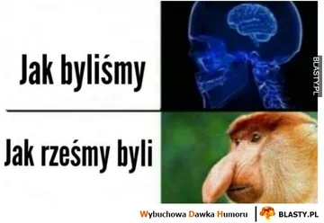 Mem z nosaczem sundajskim 