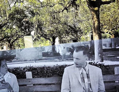 Miniatura: Niezwykły projekt fotograficzny. Kadry ze...