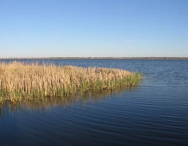 Miniatura: Trzech Niemców dryfowało na jeziorze...