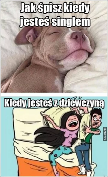 Mem na Dzień Singla 