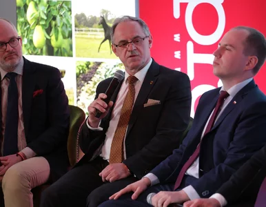 Miniatura: Edukacja domowa to przyszłość polskiej...