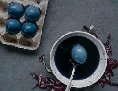 Miniatura: Jak pofarbować jajka na niebiesko? Z nami...