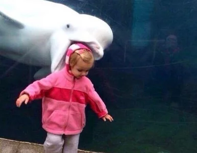 Miniatura: Te zdjęcia nie miały tak wyglądać....