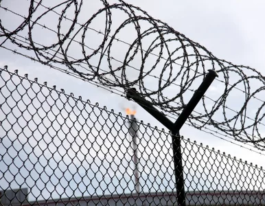Miniatura: Więzień przeskoczył płot, przeskoczył...