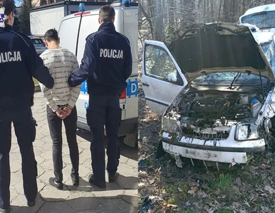 Miniatura: Doprowadził do kolizji i uciekł do lasu?...