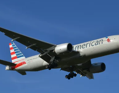 Miniatura: Rząd wesprze linie lotnicze, dokładając do...