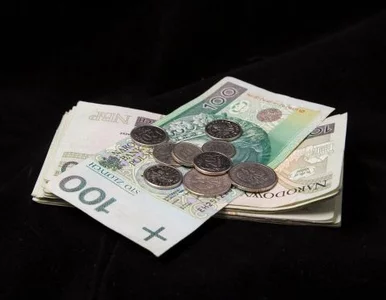 Miniatura: Co piąty Polak chce delegalizacji parabanków