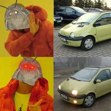 Mem z ćmą 