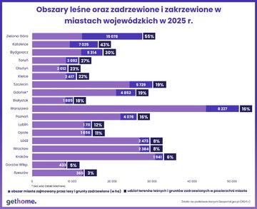 Obszary leśne oraz&nbsp;zadrzewione w&nbsp;miastach wojew&oacute;dzkich w&nbsp;2025