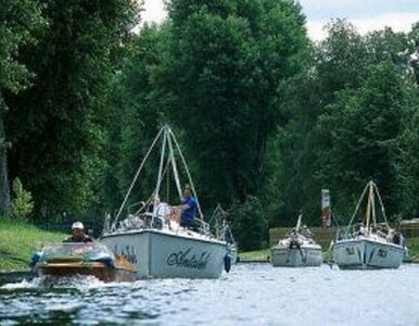 Miniatura: Mazury i Białowieża w półfinale "Siedmiu...