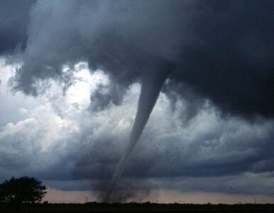 Miniatura: USA: tornado znów zabija