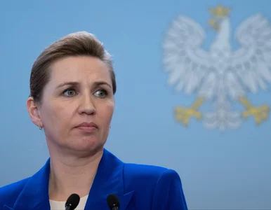 Miniatura: Drony przecięły niebo nad Skandynawią....