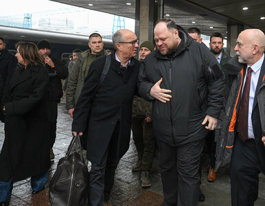 Miniatura: Włodzimierz Czarzasty chce w Ukrainie...