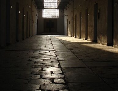 Miniatura: Dantejskie sceny w honduraskim więzieniu....