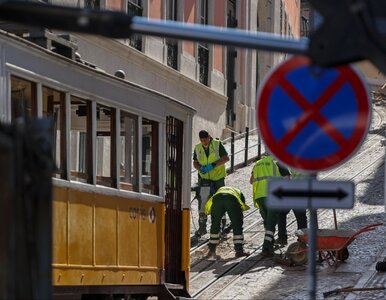 Miniatura: Nowe informacje o katastrofie w Lizbonie....