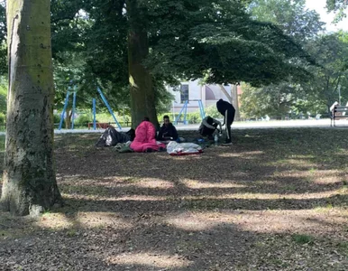 Miniatura: Apel policji po interwencji ws....